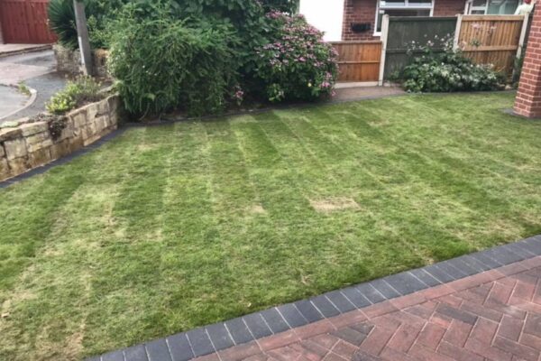 Garden Lawn Installers County Neutral